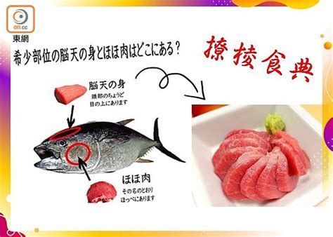 腦天|【撩棱食典】來自吞拿魚的腦天 